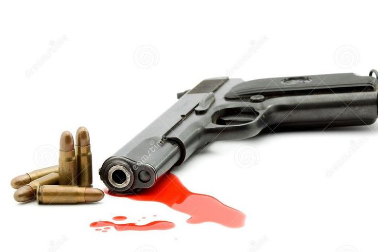 ___3832273___https:______static.pulse.com.gh___webservice___escenic___binary___3832273___2015___6___5___14___gun+gun