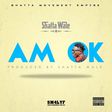 Shatta Wale - Am Okay (Prod. by Shatta Wale)