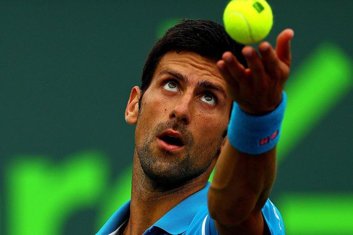 ___4899851___https:______static.pulse.com.gh___webservice___escenic___binary___4899851___2016___4___9___15___novakdjokovic-cropped_1qxkl0kguryfo1wx80crklvvs2_2