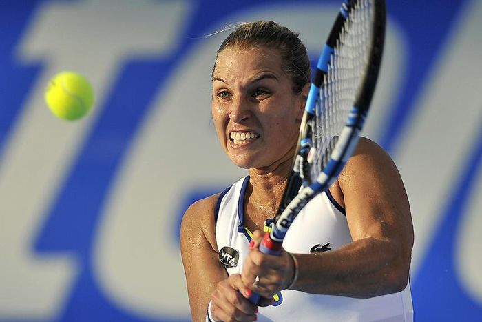 ___4735539___https:______static.pulse.com.gh___webservice___escenic___binary___4735539___2016___2___27___11___dominikacibulkova-cropped_36f2tj76mhci1rwyid7axe40l