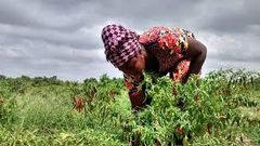 ___4854249___https:______static.pulse.com.gh___webservice___escenic___binary___4854249___2016___3___28___17___url