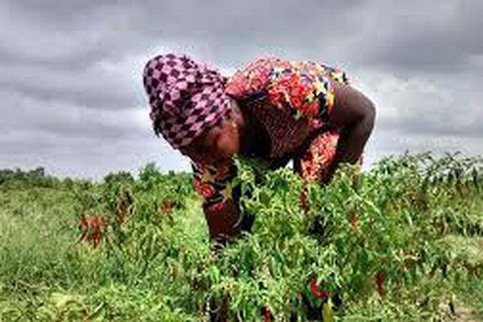 ___4854249___https:______static.pulse.com.gh___webservice___escenic___binary___4854249___2016___3___28___17___url