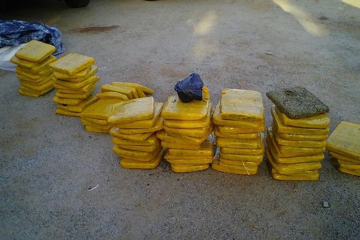 ___4916518___https:______static.pulse.com.gh___webservice___escenic___binary___4916518___2016___4___13___22___indianhemp3