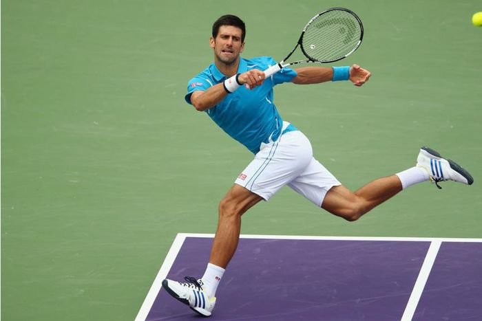 ___4876336___https:______static.pulse.com.gh___webservice___escenic___binary___4876336___2016___4___3___22___djokovic-cropped_15q3kthyrttg112h2836d23tnm