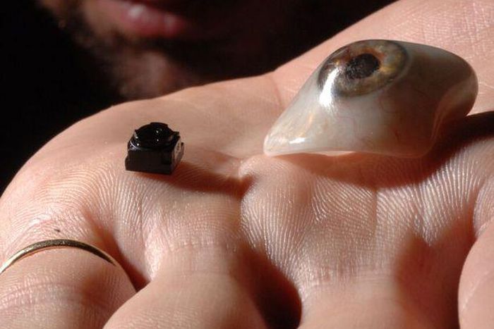 ___4606805___https:______static.pulse.com.gh___webservice___escenic___binary___4606805___2016___1___26___10___Eyeborg_0146