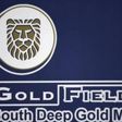 Gold Fields Ltd