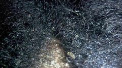 ___4631401___https:______static.pulse.com.gh___webservice___escenic___binary___4631401___2016___2___1___13___dandruff-3