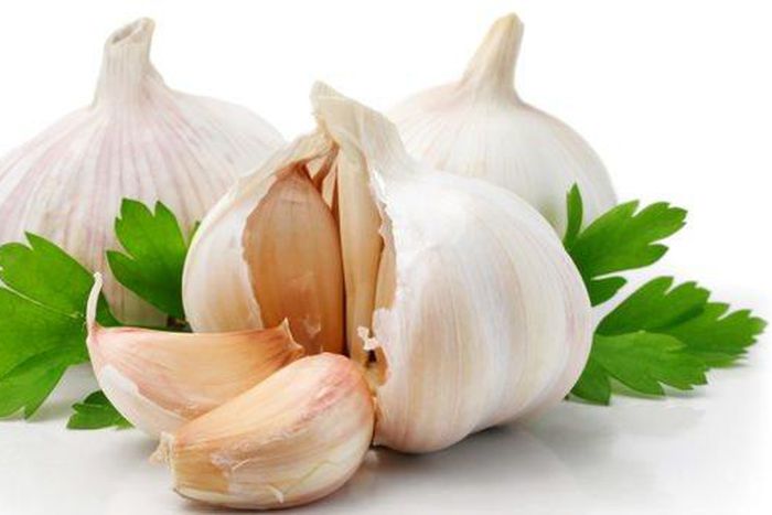 Garlic
