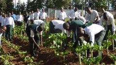 Youth in Agric