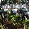 Youth in Agric