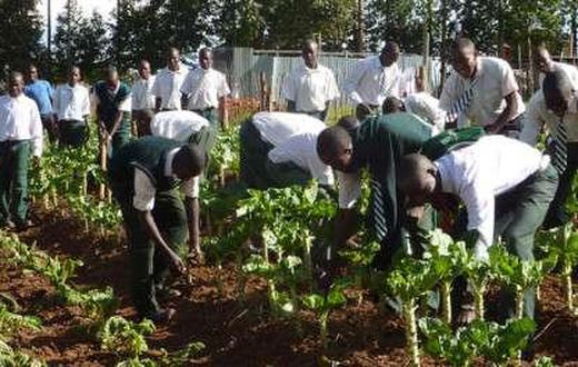 Youth in Agric