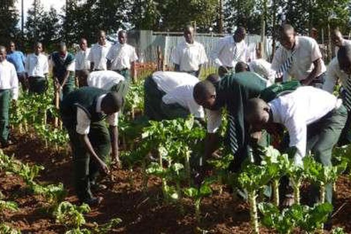 Youth in Agric
