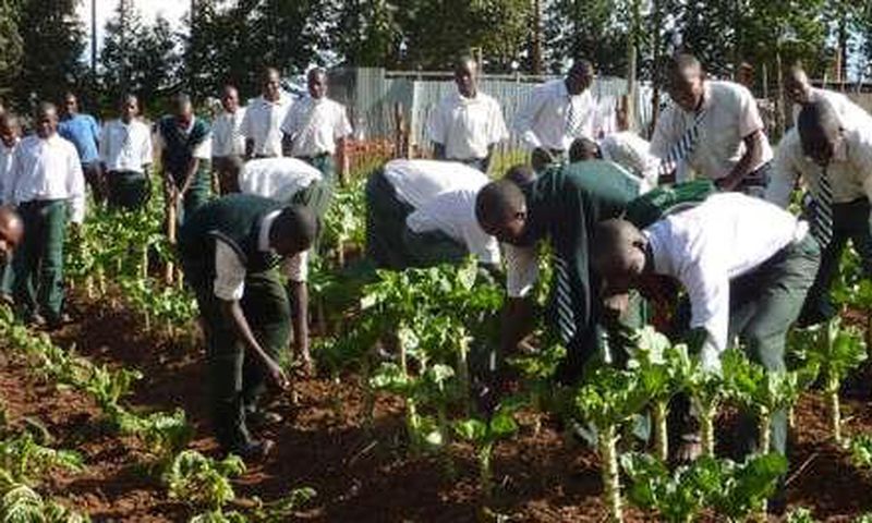 Youth in Agric