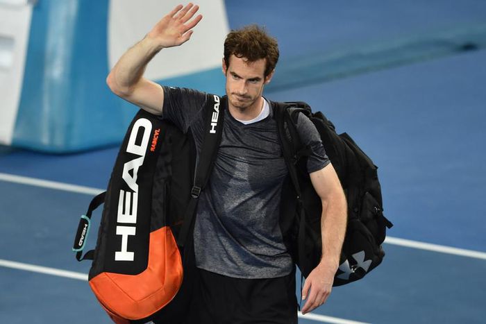 ___4596899___https:______static.pulse.com.gh___webservice___escenic___binary___4596899___2016___1___23___16___andymurrayy-cropped_1he6t2lvfzd5e1h3iu75yz8xlx