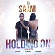 Saani - Holding On cover artwork