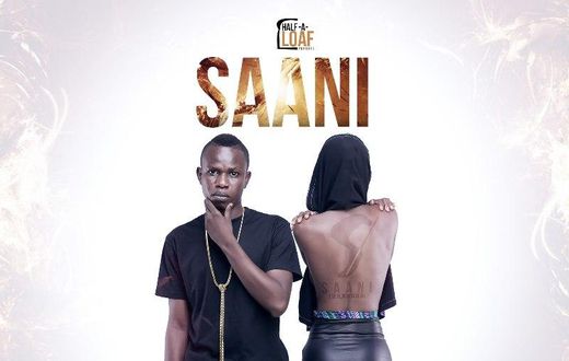 Saani - Holding On cover artwork