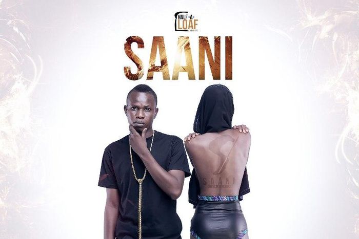 Saani - Holding On cover artwork