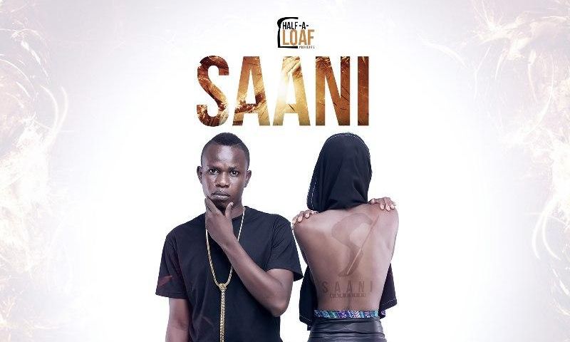 Saani - Holding On cover artwork