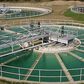 Water treatment system failing to remove toxins - Research
