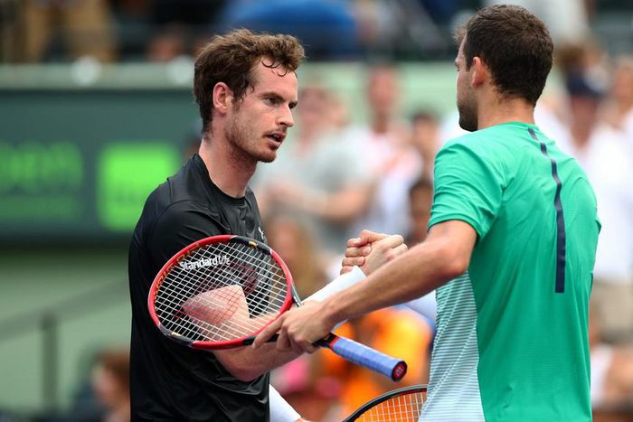 ___4855307___https:______static.pulse.com.gh___webservice___escenic___binary___4855307___2016___3___29___12___andymurray-cropped_ja50nk3x5pdn1x3a0e51w0jeq_2