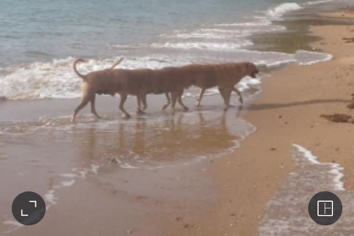 ___4554666___https:______static.pulse.com.gh___webservice___escenic___binary___4554666___2016___1___13___15___bones_1