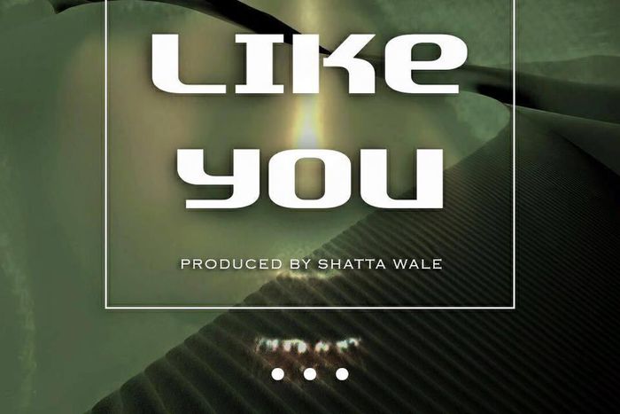 Shatta Wale - Like You (Prod. by Shatta Wale)