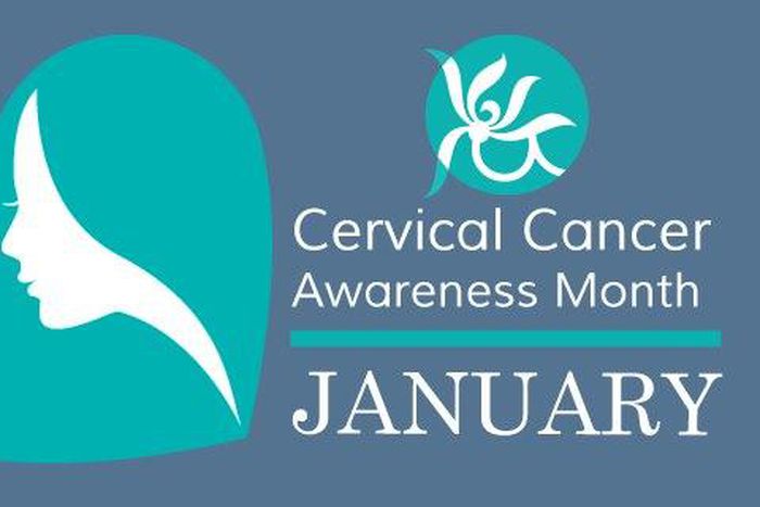 ___4610319___https:______static.pulse.com.gh___webservice___escenic___binary___4610319___2016___1___26___21___cervica