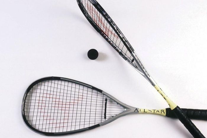 ___4550999___https:______static.pulse.com.gh___webservice___escenic___binary___4550999___2016___1___12___21___squash-cropped_eeqjbt6z0ep1n39hk9hhmg1y