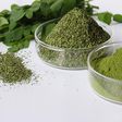 Moringa leaves and powder