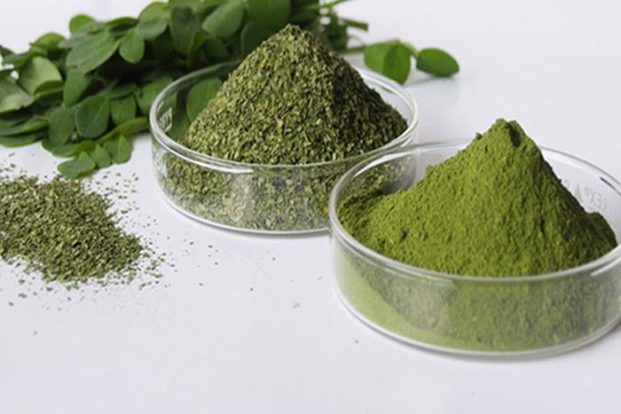 Moringa leaves and powder