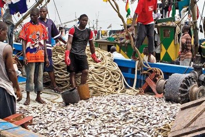 ___4587239___https:______static.pulse.com.gh___webservice___escenic___binary___4587239___2016___1___21___11___Takoradi-fishermen