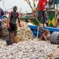 ___4587239___https:______static.pulse.com.gh___webservice___escenic___binary___4587239___2016___1___21___11___Takoradi-fishermen