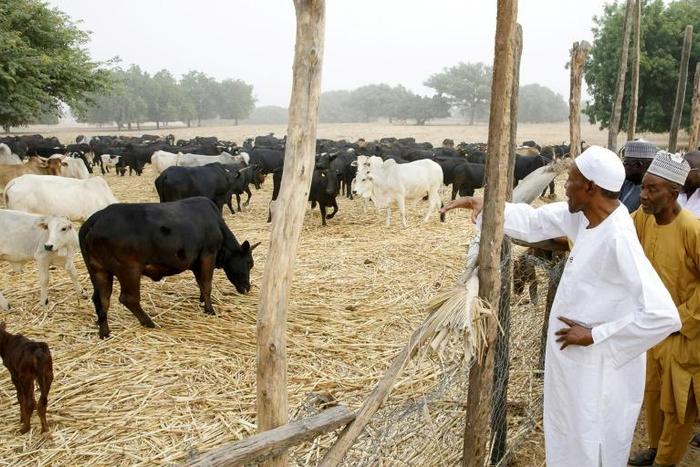 Katsina in northern Nigeria is the home state of President Muhammadu Buhari