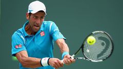 ___4871805___https:______static.pulse.com.gh___webservice___escenic___binary___4871805___2016___4___1___23___novak-djokovic-cropped_j6vhn0l19ots1lvxi9v9yaice_2