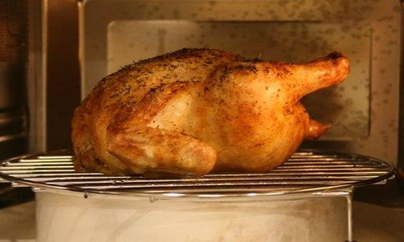 Chicken