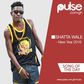 Shatta Wale - New Year 2016