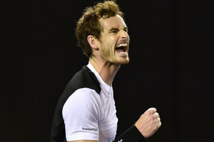 ___4622088___https:______static.pulse.com.gh___webservice___escenic___binary___4622088___2016___1___29___17___andymurray-cropped_vyf95yt6pann12x7oc88e5c4l_2