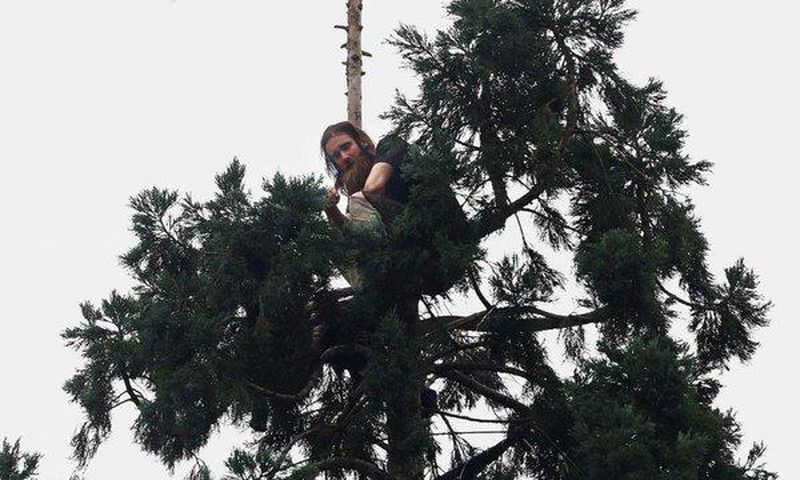 Man goes viral after staying in tree for 25 hours