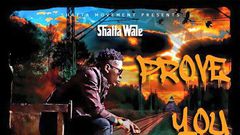 Shatta Wale - Prove You Wrong (Prod. by Shatta Wale)
