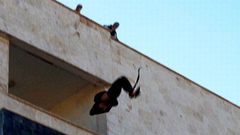 ___4518708___https:______static.pulse.com.gh___webservice___escenic___binary___4518708___2016___1___4___9___ISIS-Kill-A-Gay-Man
