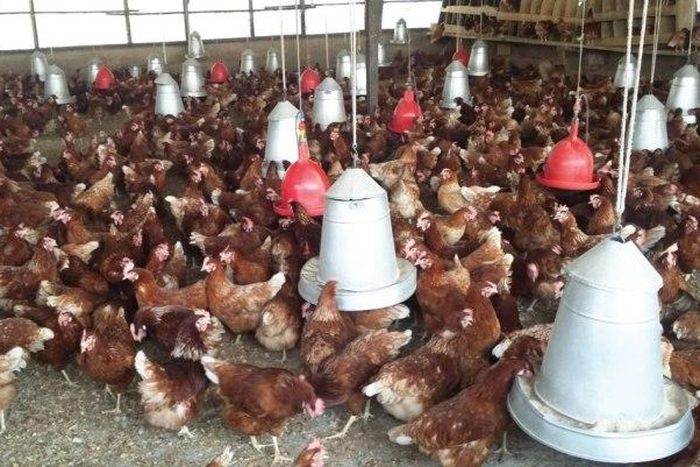 ___4931548___https:______static.pulse.com.gh___webservice___escenic___binary___4931548___2016___4___18___12___5d683976b66c84e1827d28deacfb97e7_L