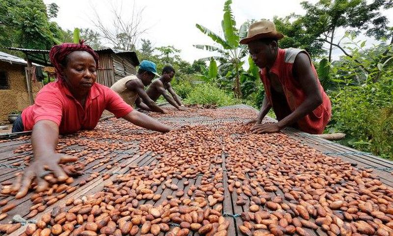 Agriculture remains the major source of employment in Ghana, even though its share in the economy has been in steady decline