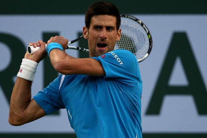 ___4798295___https:______static.pulse.com.gh___webservice___escenic___binary___4798295___2016___3___14___12___novakdjokovic-cropped_1c4trqenlp1b1b2rgv5ylrxnm