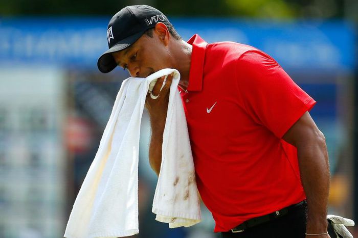 ___4872134___https:______static.pulse.com.gh___webservice___escenic___binary___4872134___2016___4___2___8___tigerwoods-cropped_12n7vwoab6w581hefkssmp0xg8