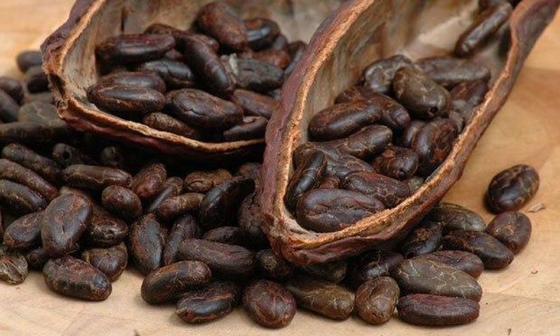 Cocoa