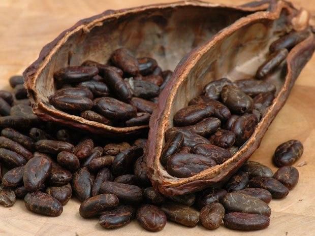 Cocoa