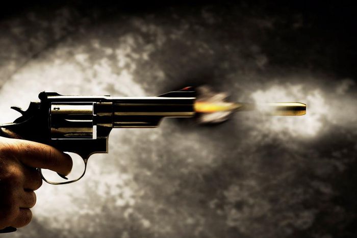 ___4907829___https:______static.pulse.com.gh___webservice___escenic___binary___4907829___2016___4___11___18___gun-shooting