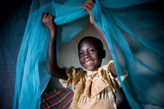 ___4625646___https:______static.pulse.com.gh___webservice___escenic___binary___4625646___2016___1___30___18___20141209_C4421_PHOTO_EN_9203