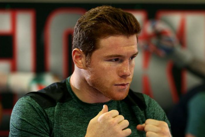 ___4961996___https:______static.pulse.com.gh___webservice___escenic___binary___4961996___2016___4___26___18___saulcaneloalvarez-cropped_16snm16czvgqb16lddq4btlto9