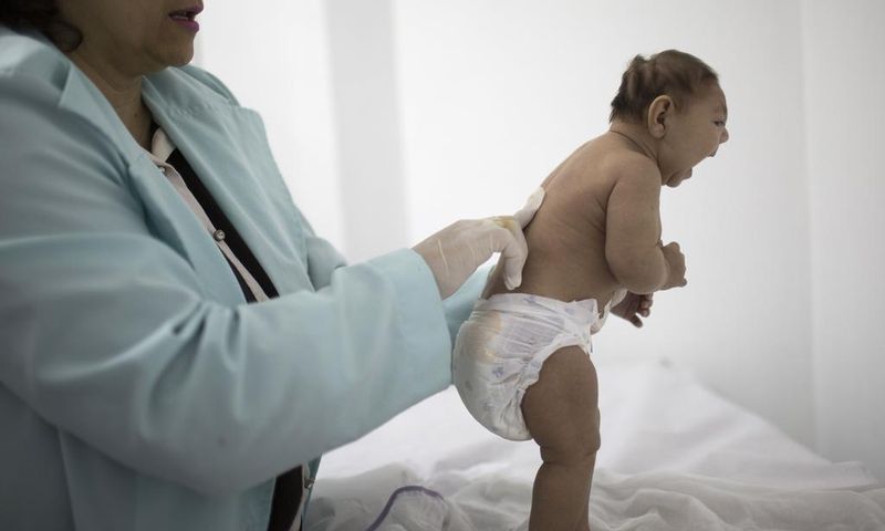 Brazil reports increase in microcephaly cases linked to Zika